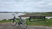 Nature. Schouwen-Duiveland. Part 1