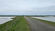 Nature. Schouwen-Duiveland. Part 2